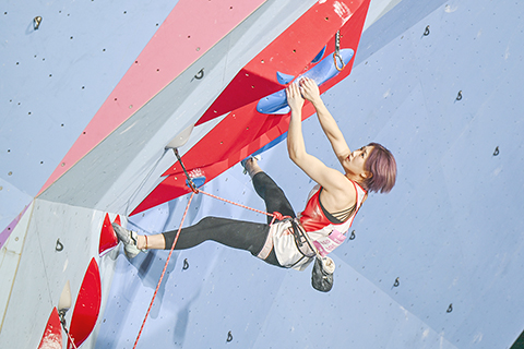 ◎ 十一月十三日,在廣州大學城體育中心舉行的第十五屆全國運動會攀岩項目女子難度決賽中,廣東隊張悅彤奪冠,實現全運會三連冠。張悅彤此前獲得十四運會攀岩項目成人組女子兩項全能(攀石+難度)金牌,十三運會群眾比賽攀岩入圍賽女子難度賽金牌。圖為張悅彤在比賽中。(中新社記者 陳驥旻 攝)