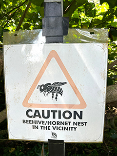 蜂巢警示