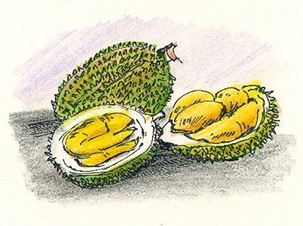 曹長雄老師 謎語圖