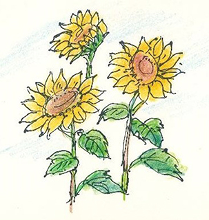 曹長雄老師 謎語圖