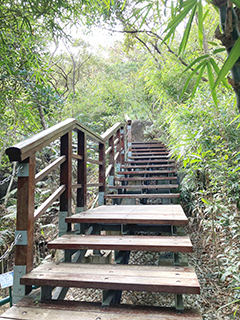 處處都有木棧道