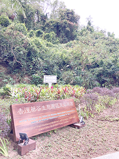 位於路環高頂馬路中段的入口