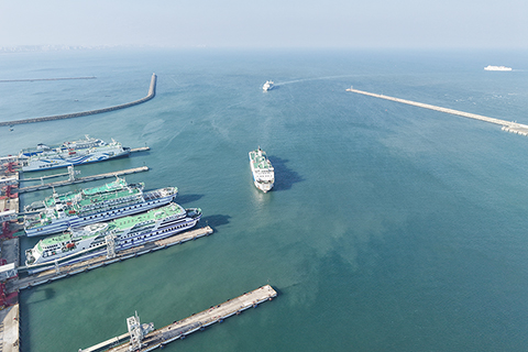 ◎ 二月二日,海南海口,多艘客滾運輸船有序駛進海口新海港。當日是二0二六年春運首日,瓊州海峽過海順暢。作為海南自貿港全島封關運作後的首個春運,據中國交通運輸部預計,今年春運期間瓊州海峽將運送旅客超四百六十六萬人次、車輛超一百一十七萬輛次,同比分別增長百分之十二和百分之十。(無人機照片)(中新社發 陳英清 攝)
