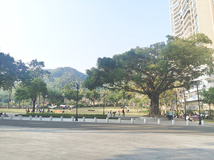 遊人可以在廣闊的草坪上憩息