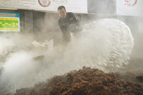 ◎ 一月二十七日,工人在河北省豐寧滿族自治縣承德九龍醉酒業股份有限公司釀造車間工作。(新華社發胡楊攝)