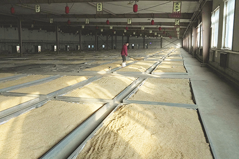 ◎ 一月二十八日,河北省承德縣承德乾隆醉酒業有限責任公司的工人在發酵車間工作。(新華社記者楊世堯 攝)