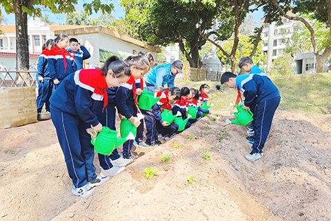 嘉庚學子們在集美農林學校耕創農場體驗農耕勞作。(吳冠標 攝)