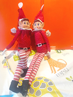 ◎ 愛爾蘭小精靈