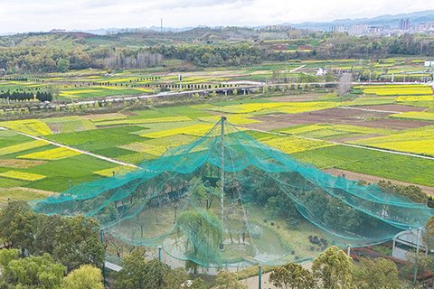 ◎ 陜西漢中朱䴉國家級自然保護區朱䴉人工繁育中心的朱䴉野化放飛訓練網籠(三月三十日攝,無人機照片)。(新華社記者鄒競一 攝)