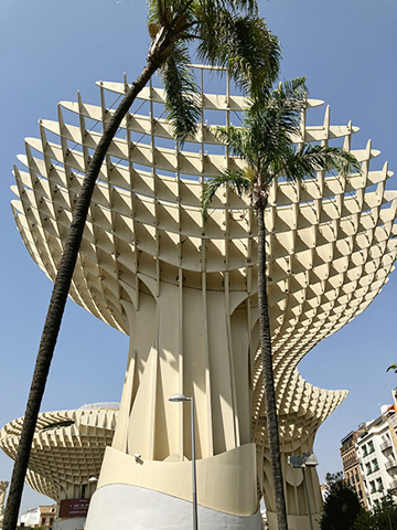 都市陽傘圓球