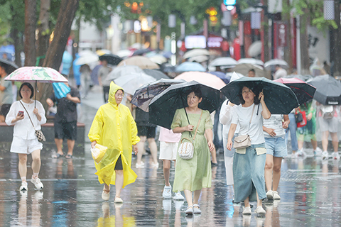 ◎ 八月十日,受今年第十三號颱風「白海豚」影響,江蘇南京迎來風雨天氣。圖為市民在雨中出行。(中新社記者泱波 攝)