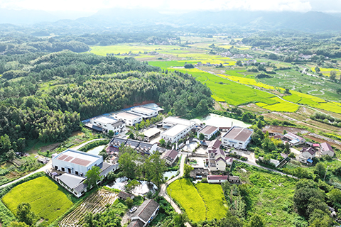 航拍榔橋鎮的木梳產業園(無人機照片)。(中新社記者 張強 攝)