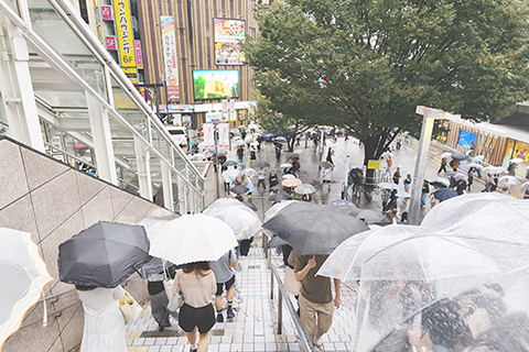 ◎ 九月二十日,日本東京正受到今年第二十五號颱風(杜鵑)逼近的影響,天氣轉雨並伴隨強風。圖為民眾冒雨出行。(香港中通社記者 洪少葵 攝)