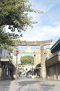 鳥居參道
