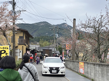 遊人絡繹。